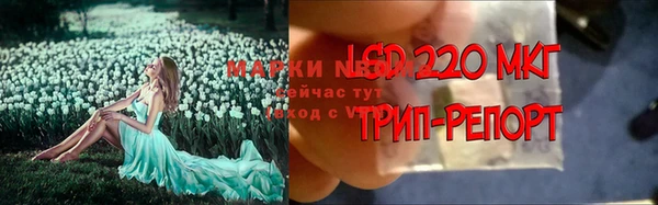 трава Арсеньев