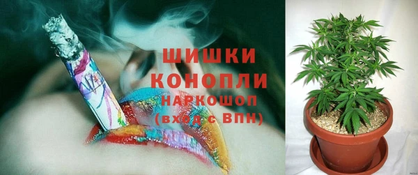 трава Арсеньев