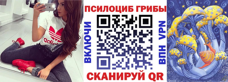 купить закладку Кондопога Псилоцибиновые грибы Psilocybe
