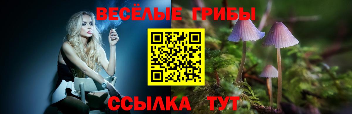 Гашиш Кондопога